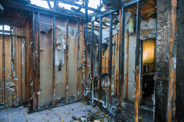 Professional Fire Damage Removal technician working in St. Pete Beach, FL